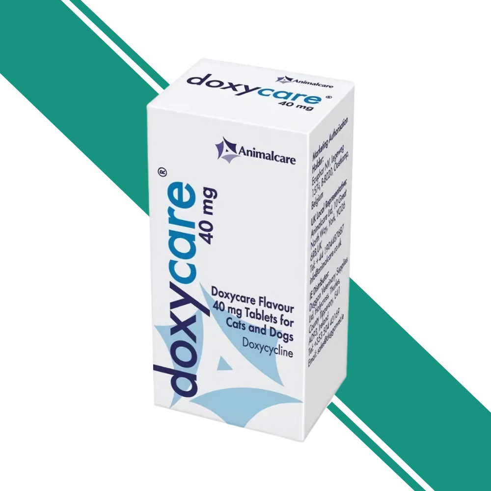 Flavoured Doxycare Tablets, 40mg, for Cats and Dogs